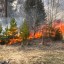 На помощь в тушении лесных пожаров