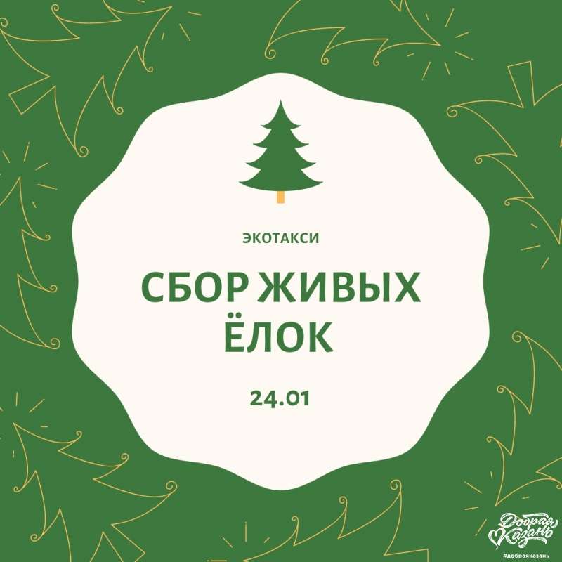24 января в Казани пройдет сбор живых елок