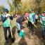 День посадки леса в Татарстане