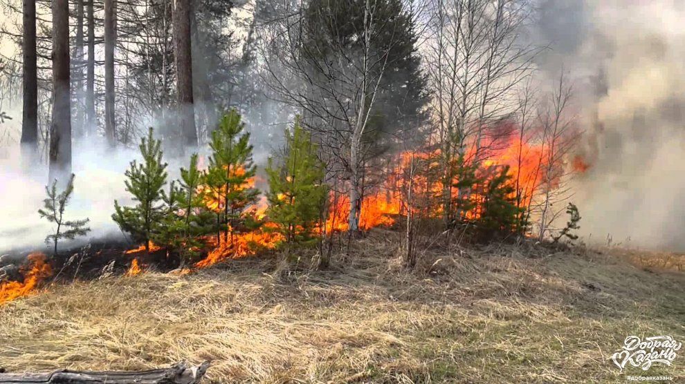 На помощь в тушении лесных пожаров