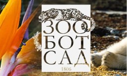 В Казанском зооботсаде появились львиц В Казанском зооботсаде появились львиц