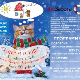 20 января пройдет благотворительная акция-выставка кошек «Святки и котятки»