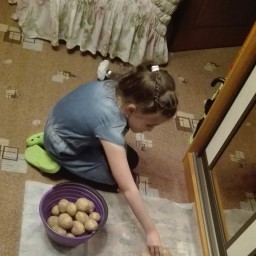 Помогла убрать высушенный картофель