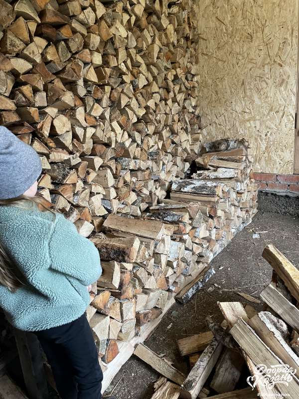 Помогаю складывать дрова