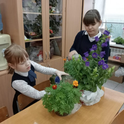 Поливаем с одноклассницей цветы в классе, готовимся к озеленению школьного участка