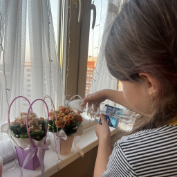 Полила цветы