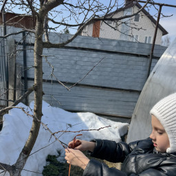 Повесила кормушку для птиц