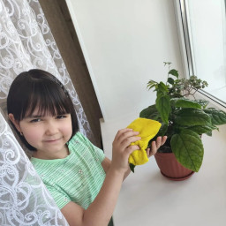 Мои любимые цветочки