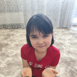 Мои питомцы