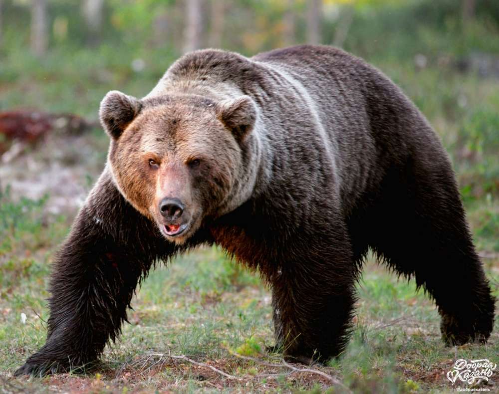 Интересное о Татарстане