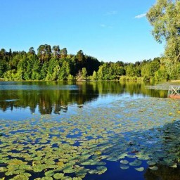 Волжско-камский биосферный заповедник