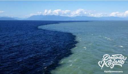 Вода — основа жизни на Земле