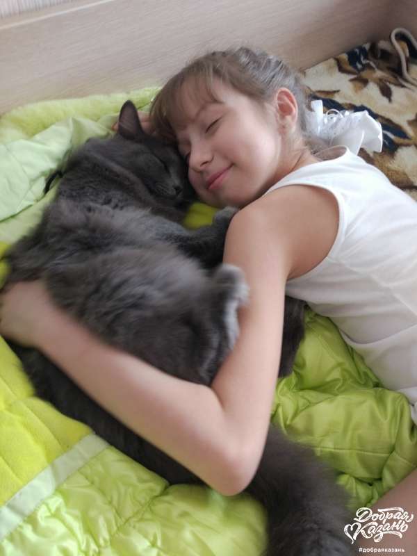 Не стала беспокоить моего котика Не стала беспокоить моего котика