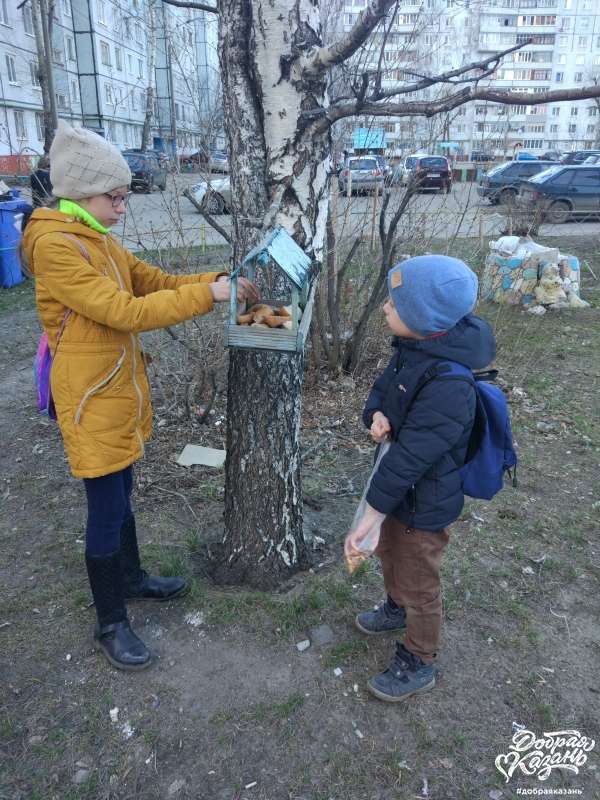 Покормили птичек печенькой