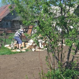 Этием рубил дрова у Зурэни