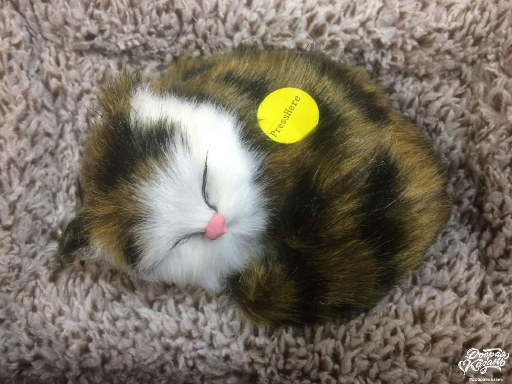 Котёнок Котёнок
