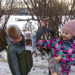 Сделали кормушки для птиц