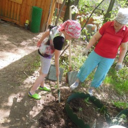 Помогла даванике с цветником