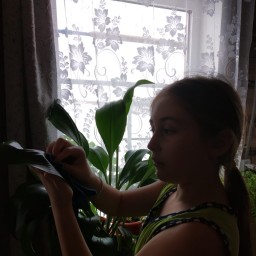 Вытераю листья