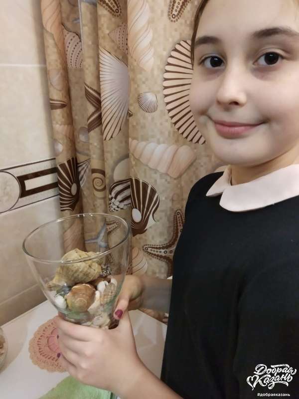 Ракушки