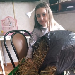 Для моего Арчи