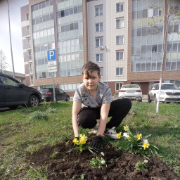 Благоустройство двора