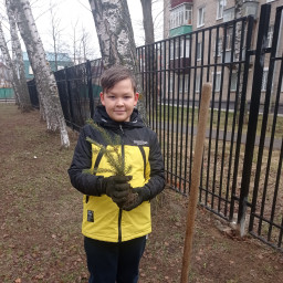 Зелёная красавица