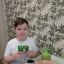 Вырастил травку для кошечки 0