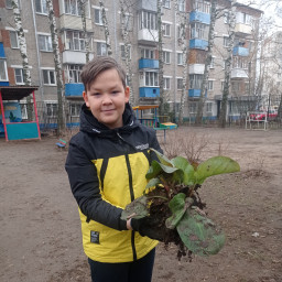Маленькая клумба