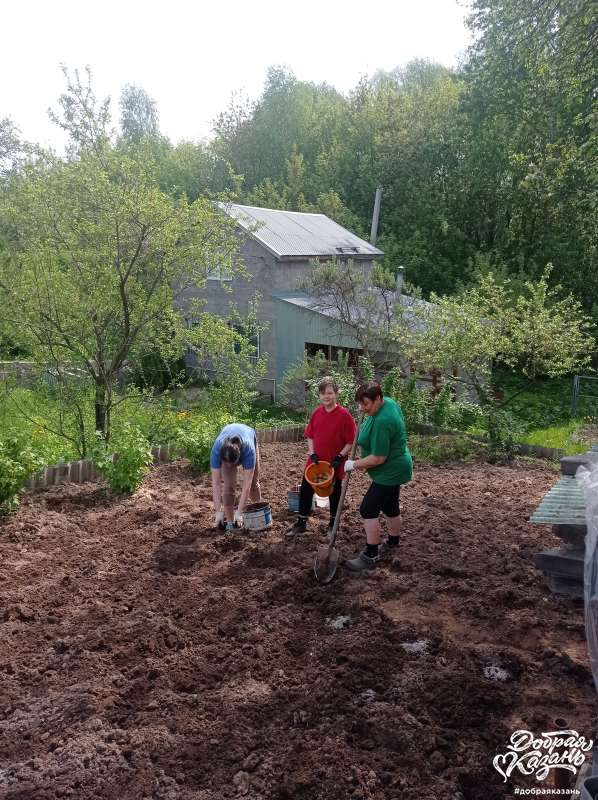 Помогаю бабули сажать картошку Помогаю бабули сажать картошку