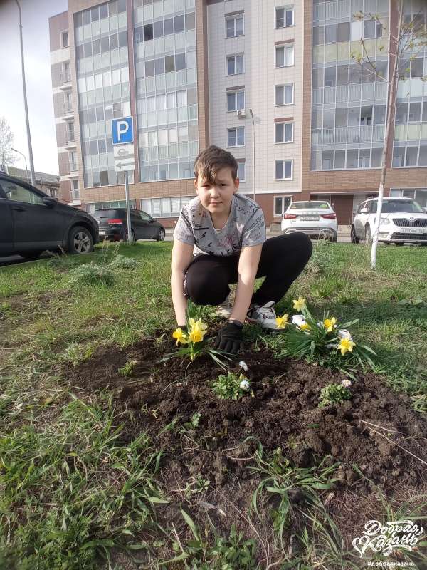 Благоустройство двора Благоустройство двора