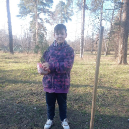 Сад памяти