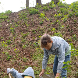 Уборка родника
