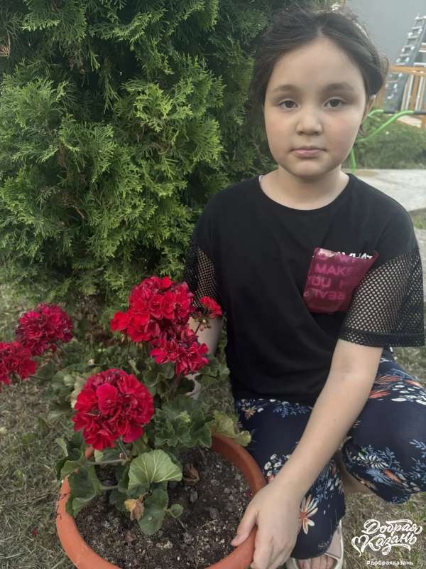 Помощь бабушке