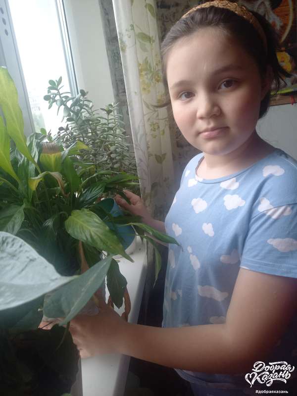 Помощь по дому