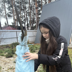 Помощь в саду