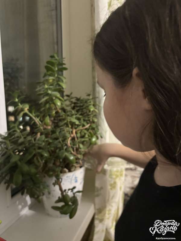 Полила цветы у бабушки