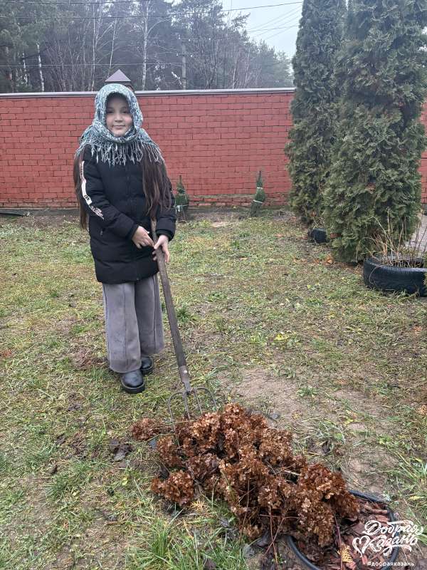 Помощь дедушке по саду