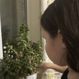 Полила цветы у бабушки