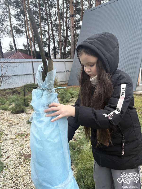 Помощь в саду