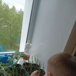 Помощь по дому маме