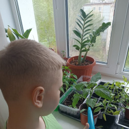 Помощь по дому маме