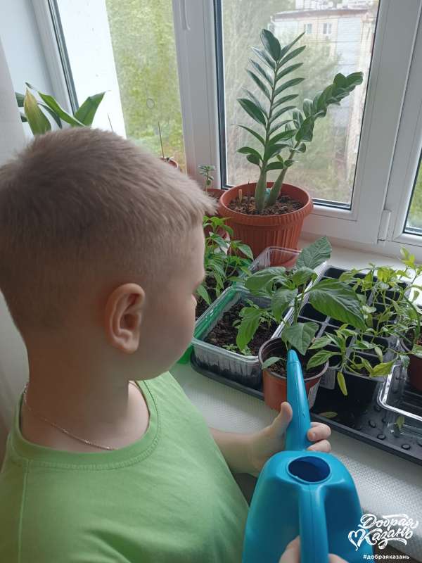 Помощь по дому маме