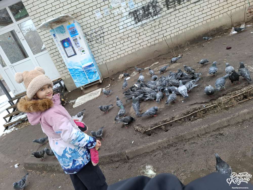 Покормили голубей