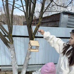 Повесили кормушку.