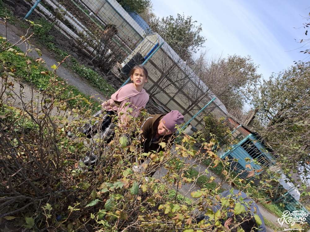 Уборка на участке