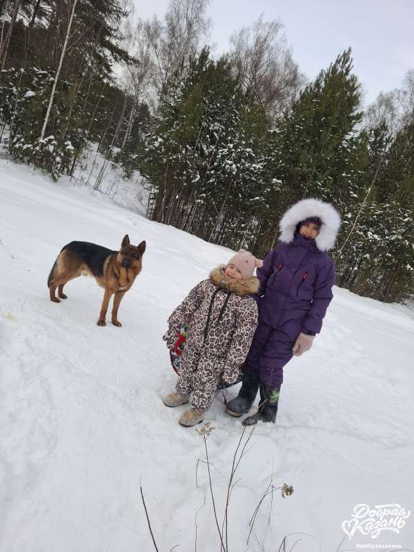 Пошли кататься с горки