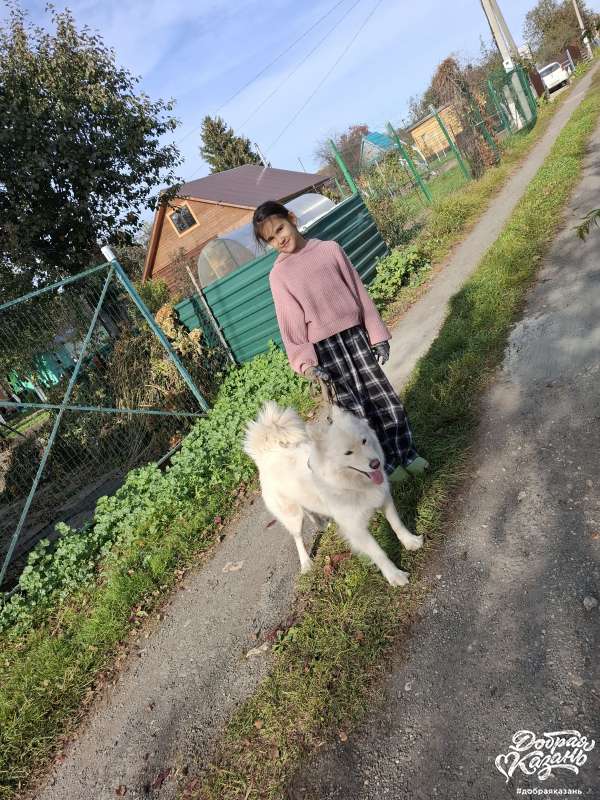 Выгуливала собаку