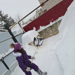 Почистила место для прогулок для нашей любимой собаки