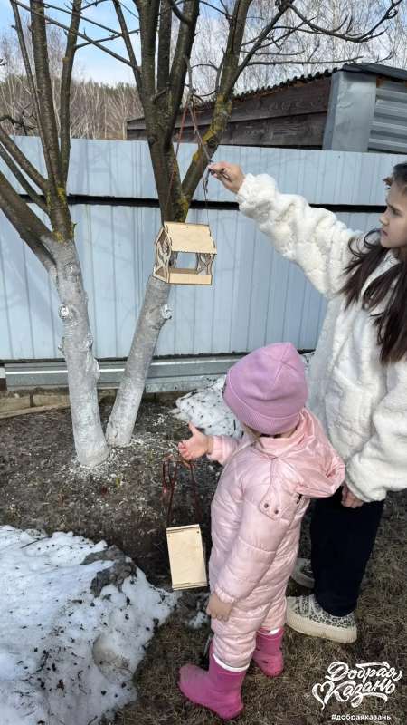 Повесили кормушку.